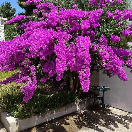 Appartamento Sol